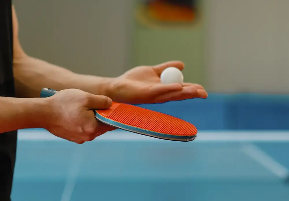 namizni-tenis-tvd-partizan-zirovnica